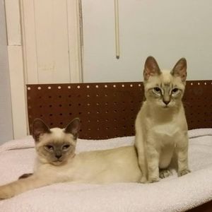 Meet your Posher, Jack